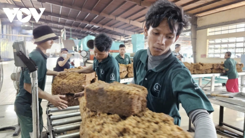 Rubber industry targets export growth over global supply shortage